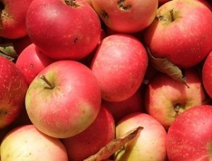 Organic food