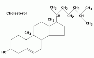 How is your cholesterol these days? How is your cholesterol these days?