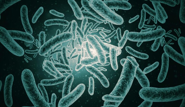 Europe’s 2011 E. Coli Outbreak