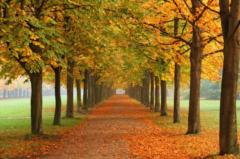 The Ultimate Exercise Guide for Autumn