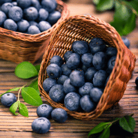 Blueberries in the basket