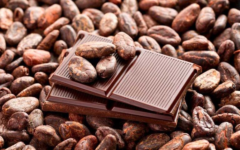 Cacao, Sweet Healthy Weight Loss