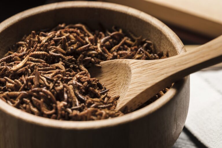 Are edible insects the new healthy alternative?