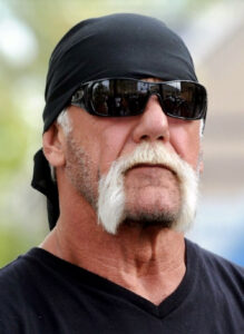 Hulk Hogan moustache 