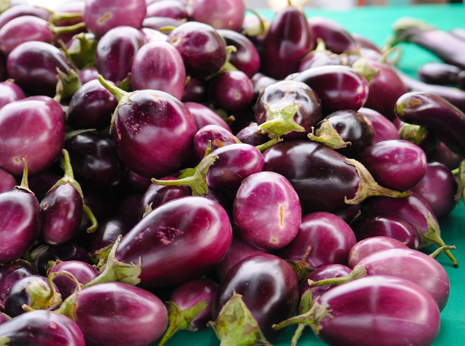 eggplant