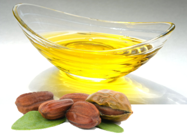 jojoba oil