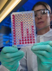 Scientist holding bacteria tray