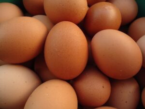 eggs