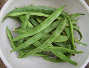 pile of green runner beans