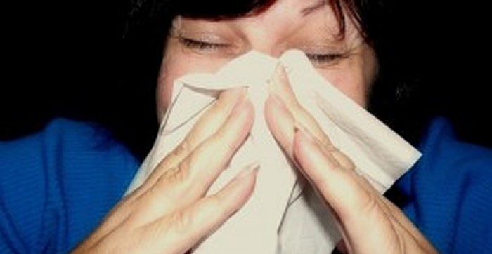 How to Prevent Hay Fever