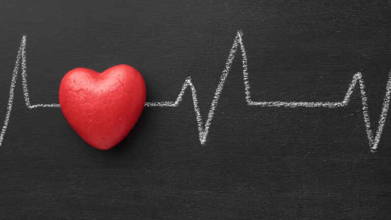 Cardiovascular Health: A Proactive Approach to Heart Health