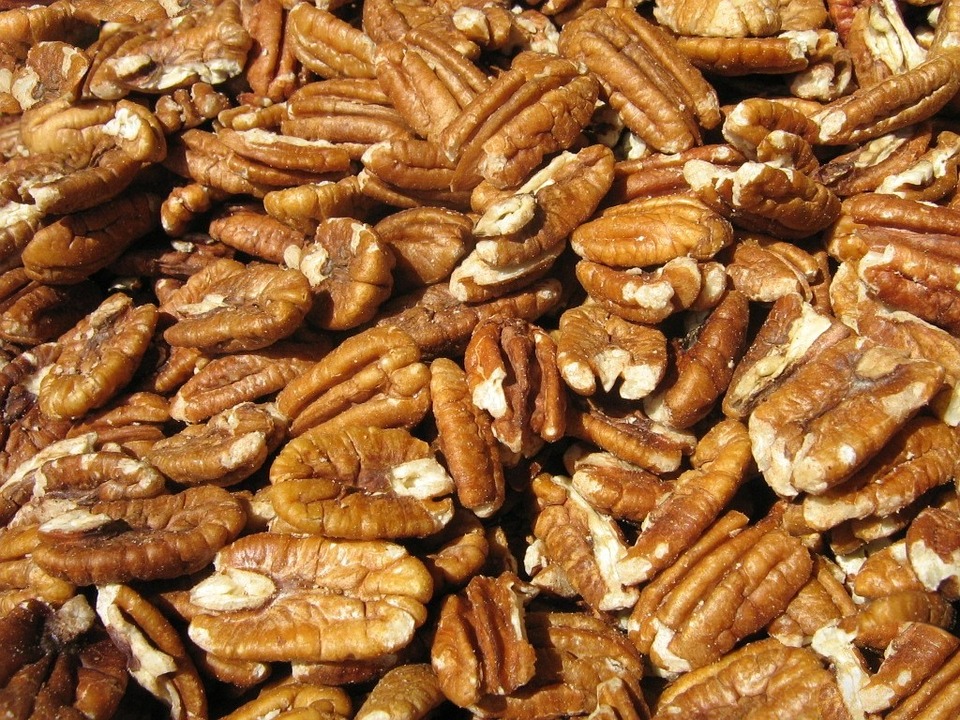 walnuts