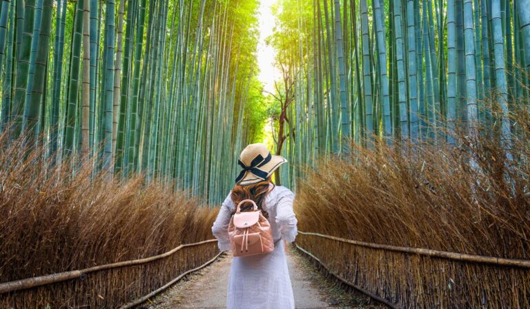 The many health benefits of bamboo